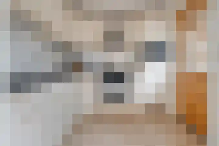 Steenbergerwijk 22 Dedemsvaart thumbnail 15