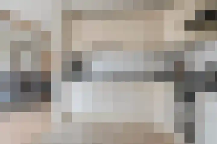 Steenbergerwijk 22 Dedemsvaart thumbnail 16