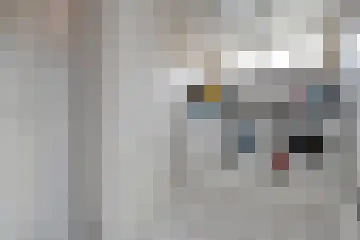 Steenbergerwijk 22 Dedemsvaart thumbnail 17