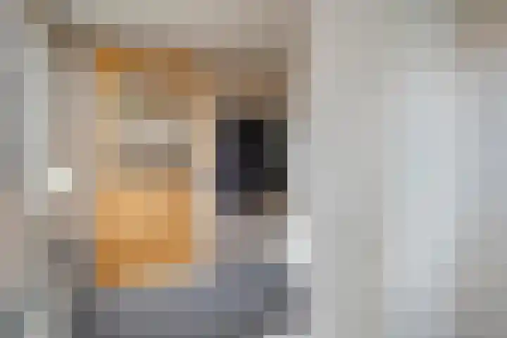 Steenbergerwijk 22 Dedemsvaart thumbnail 18