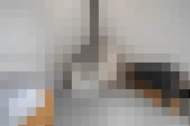 Steenbergerwijk 22 Dedemsvaart thumbnail 31