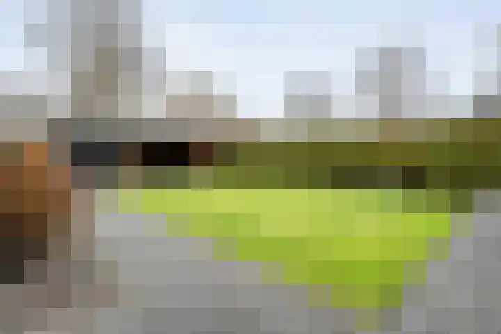 Steenbergerwijk 22 Dedemsvaart thumbnail 32