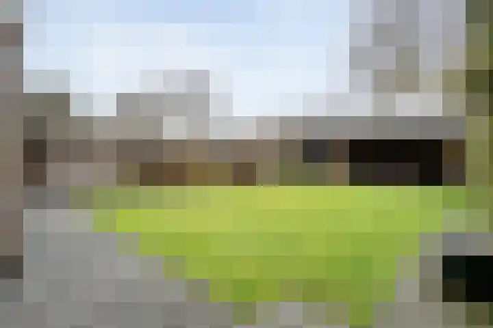 Steenbergerwijk 22 Dedemsvaart thumbnail 33