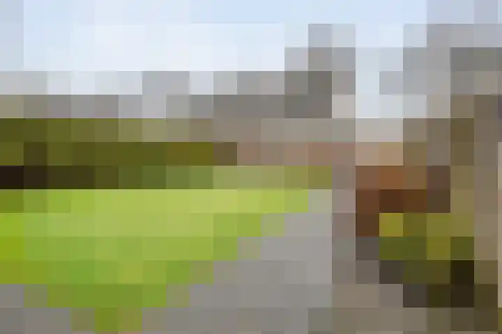 Steenbergerwijk 22 Dedemsvaart thumbnail 35
