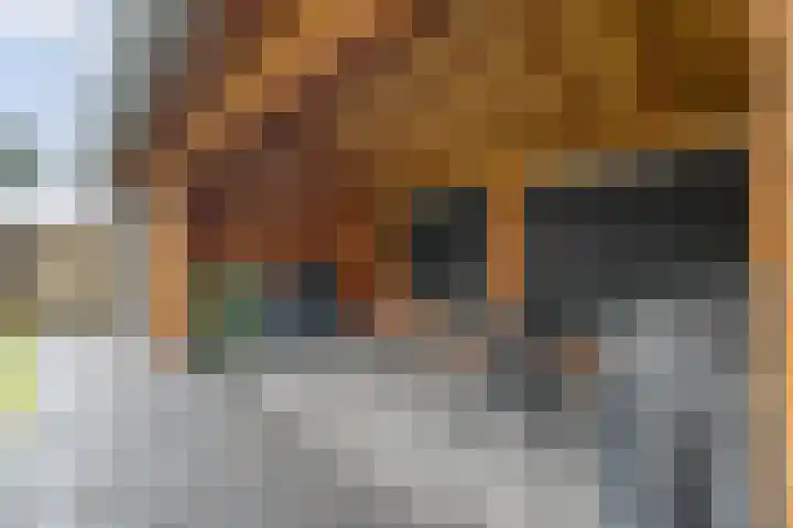 Steenbergerwijk 22 Dedemsvaart thumbnail 36