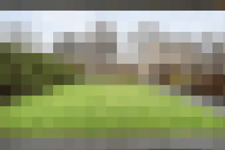 Steenbergerwijk 22 Dedemsvaart thumbnail 37