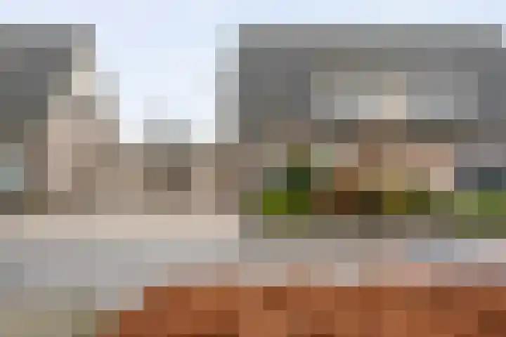 Steenbergerwijk 22 Dedemsvaart thumbnail 39