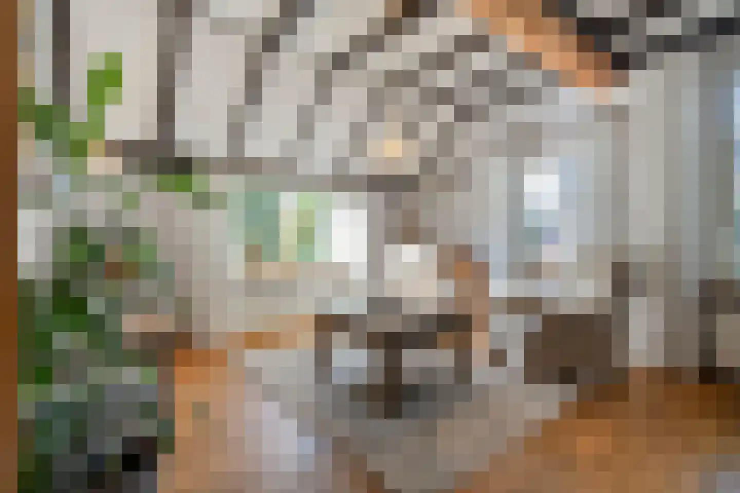 Steenbergerwijk 32 Dedemsvaart thumbnail 12