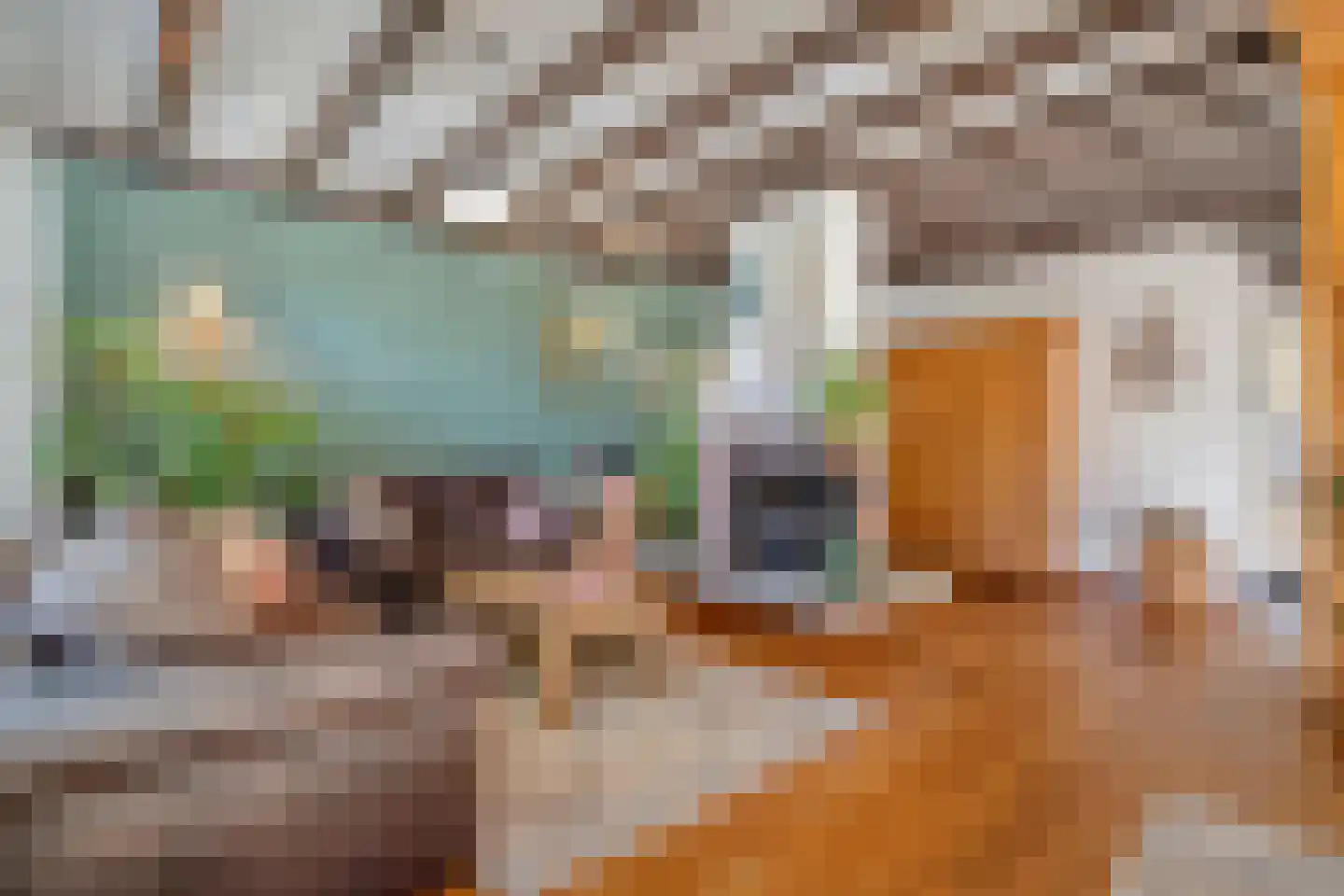 Steenbergerwijk 32 Dedemsvaart thumbnail 14