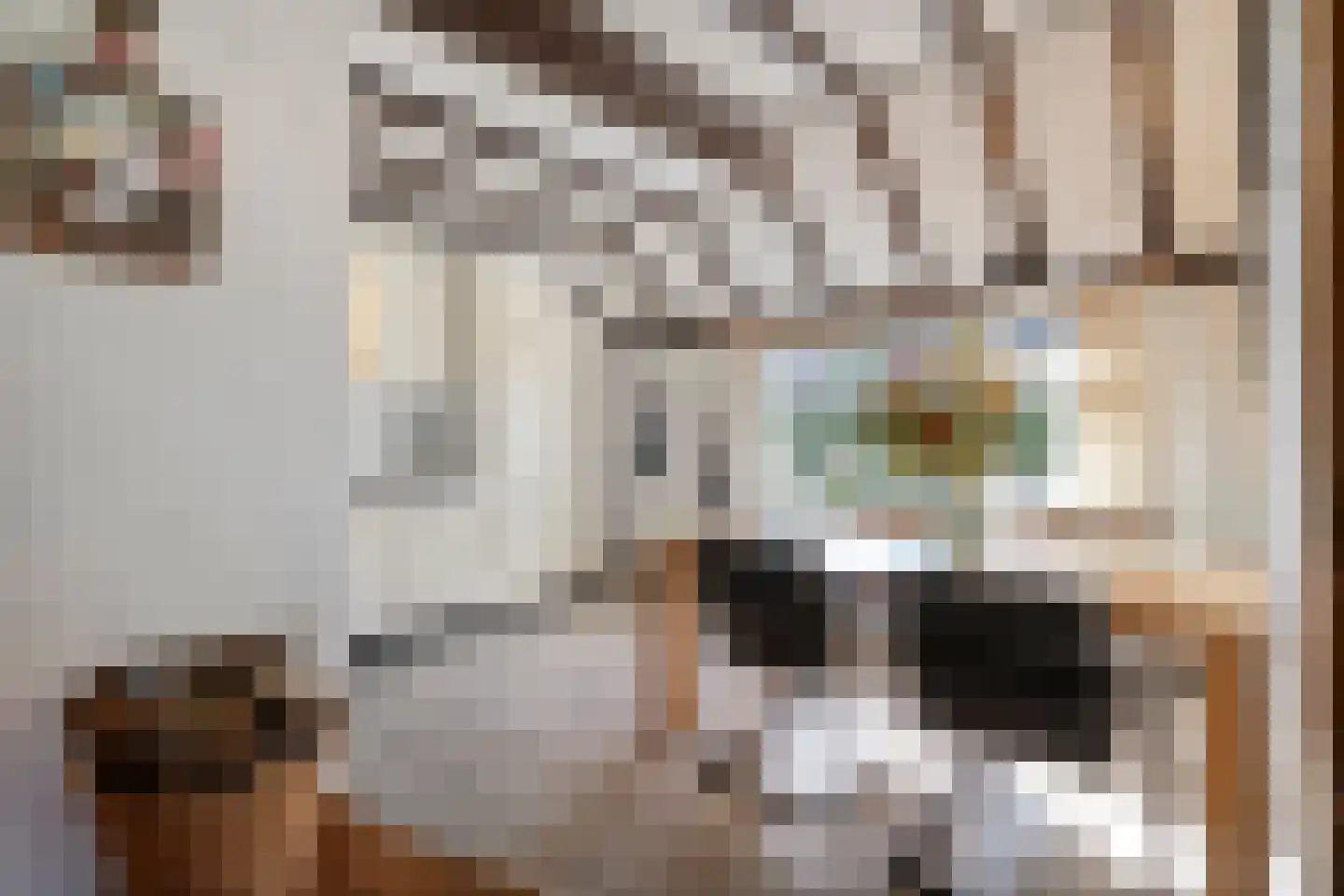 Steenbergerwijk 32 Dedemsvaart thumbnail 18