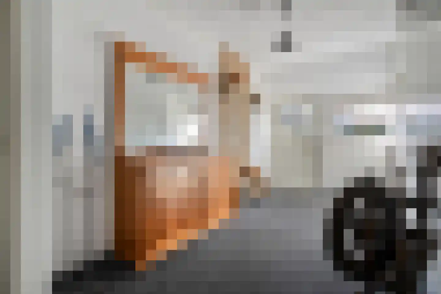 Steenbergerwijk 32 Dedemsvaart thumbnail 23
