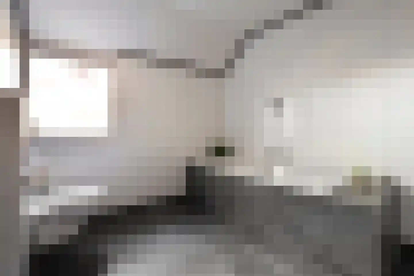 Steenbergerwijk 32 Dedemsvaart thumbnail 31