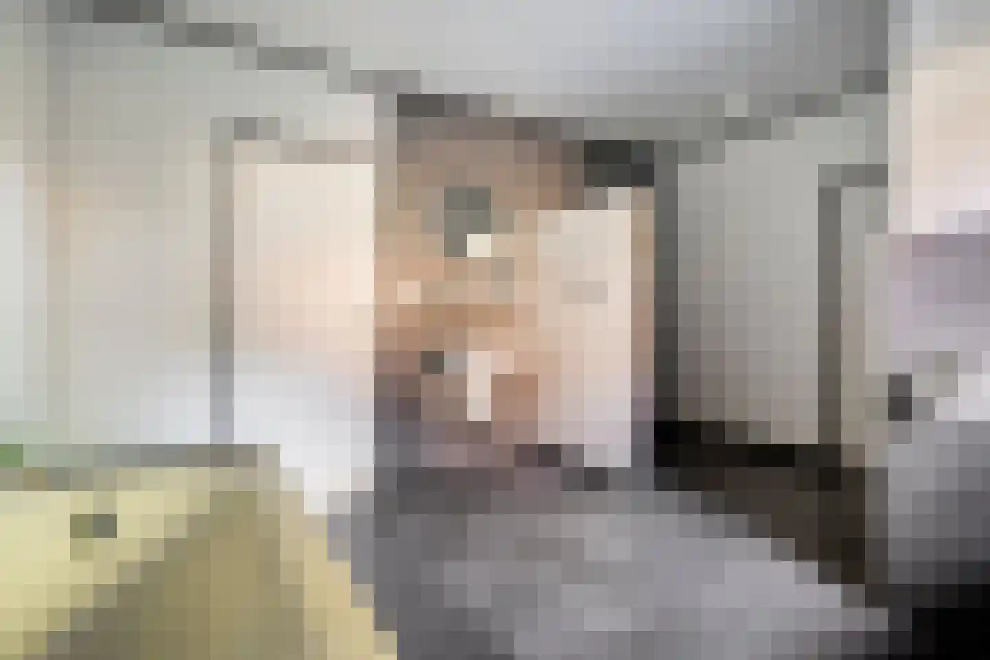 Steenbergerwijk 32 Dedemsvaart thumbnail 32