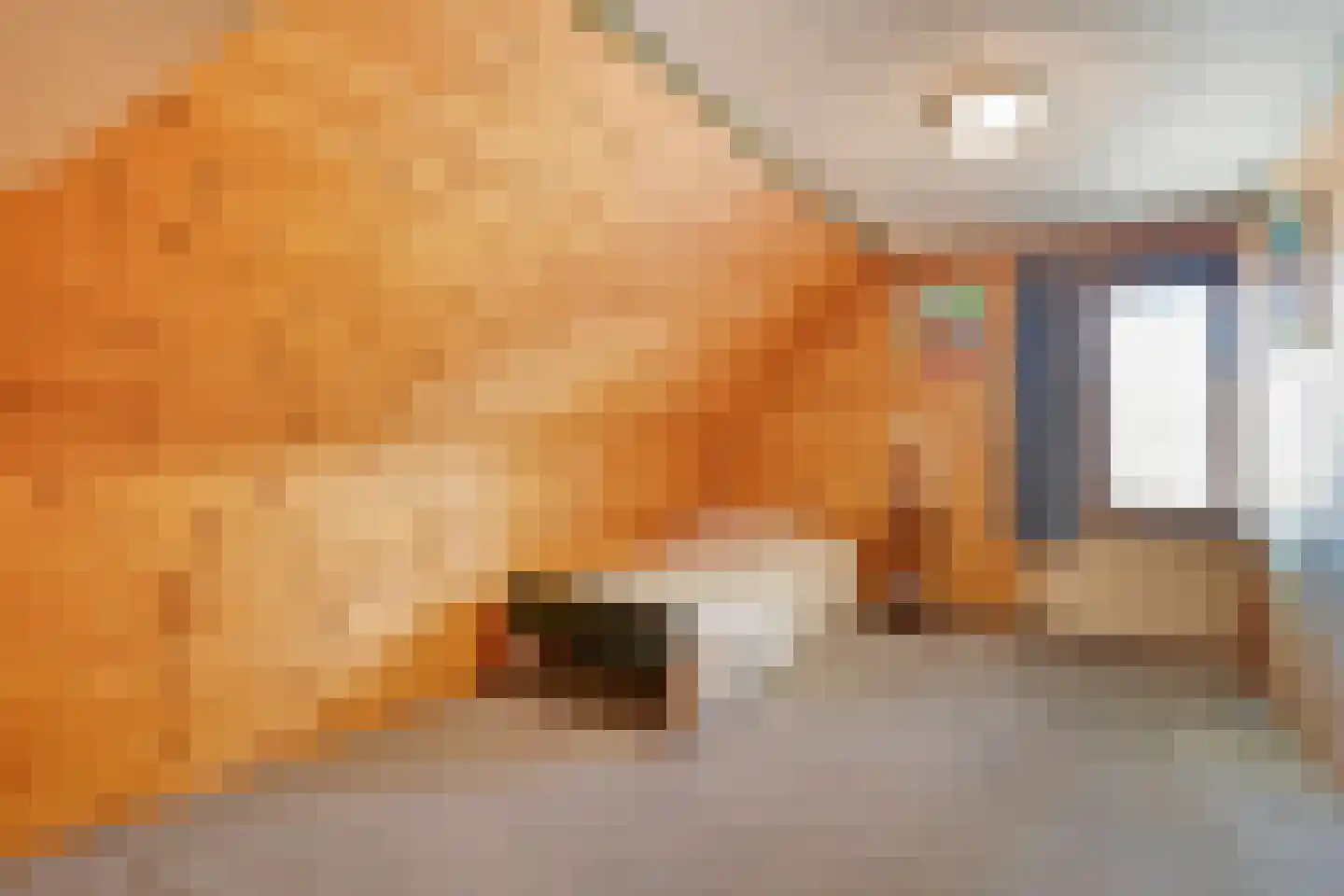 Steenbergerwijk 32 Dedemsvaart thumbnail 37