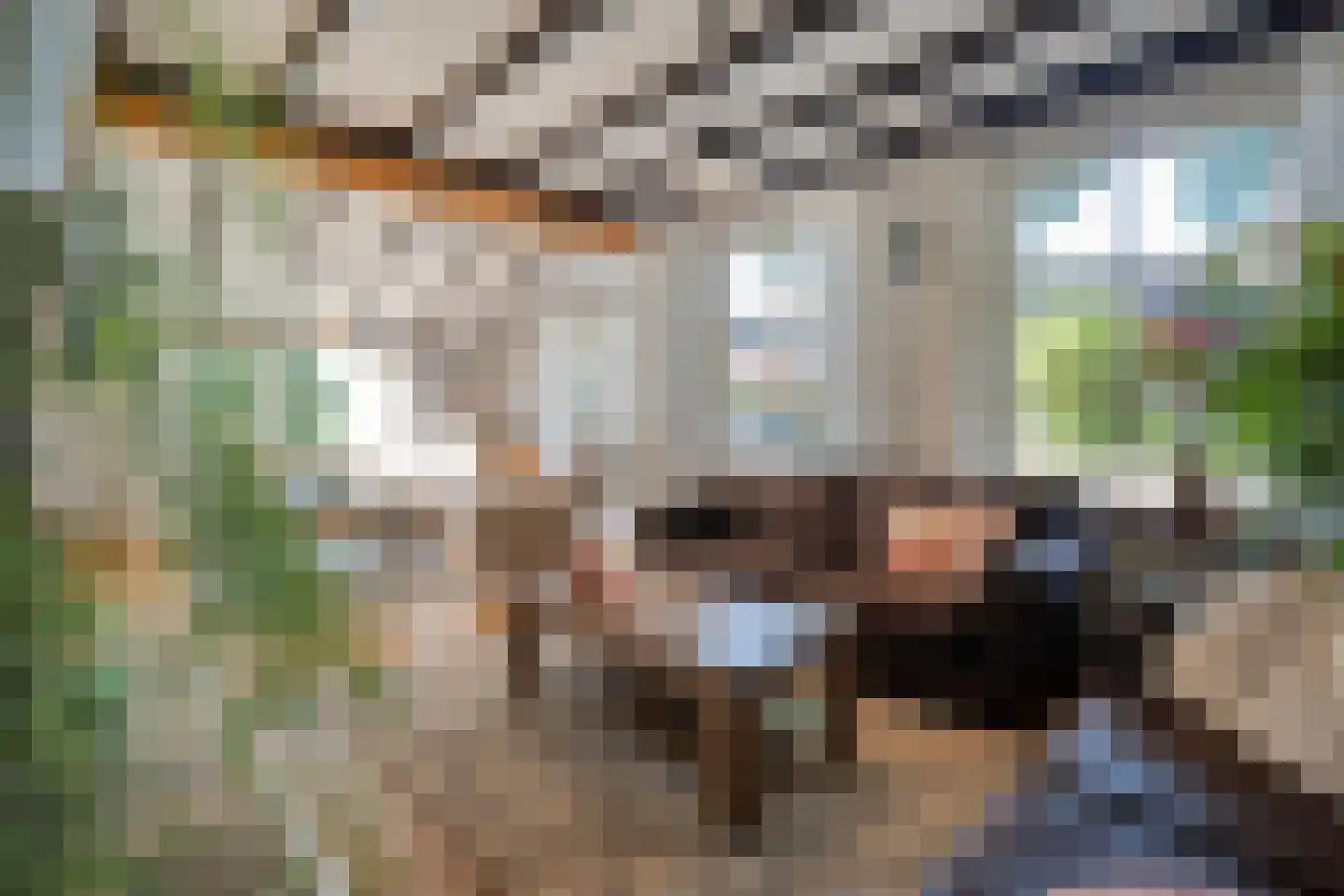 Steenbergerwijk 32 Dedemsvaart thumbnail 4