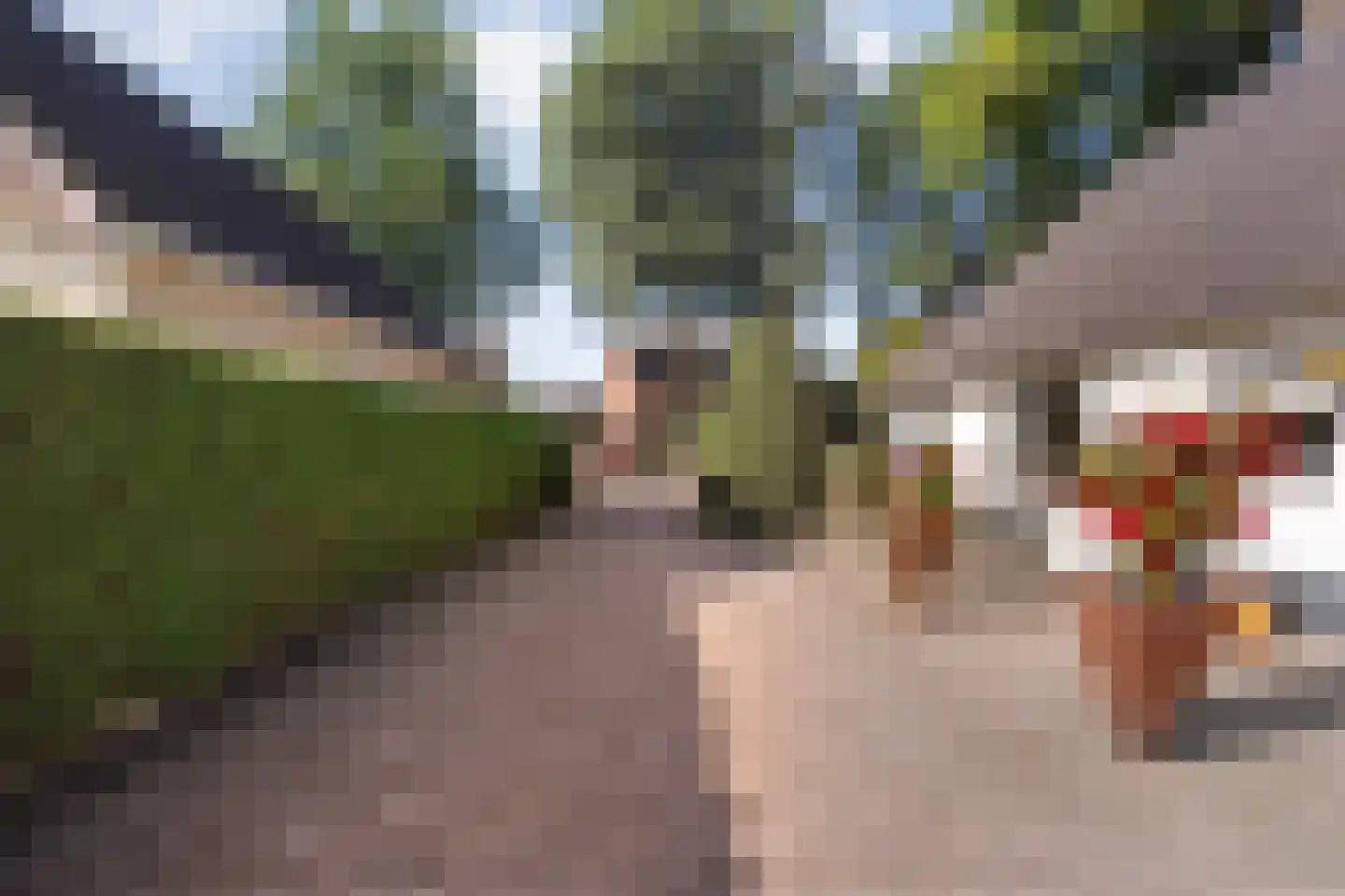 Steenbergerwijk 32 Dedemsvaart thumbnail 43