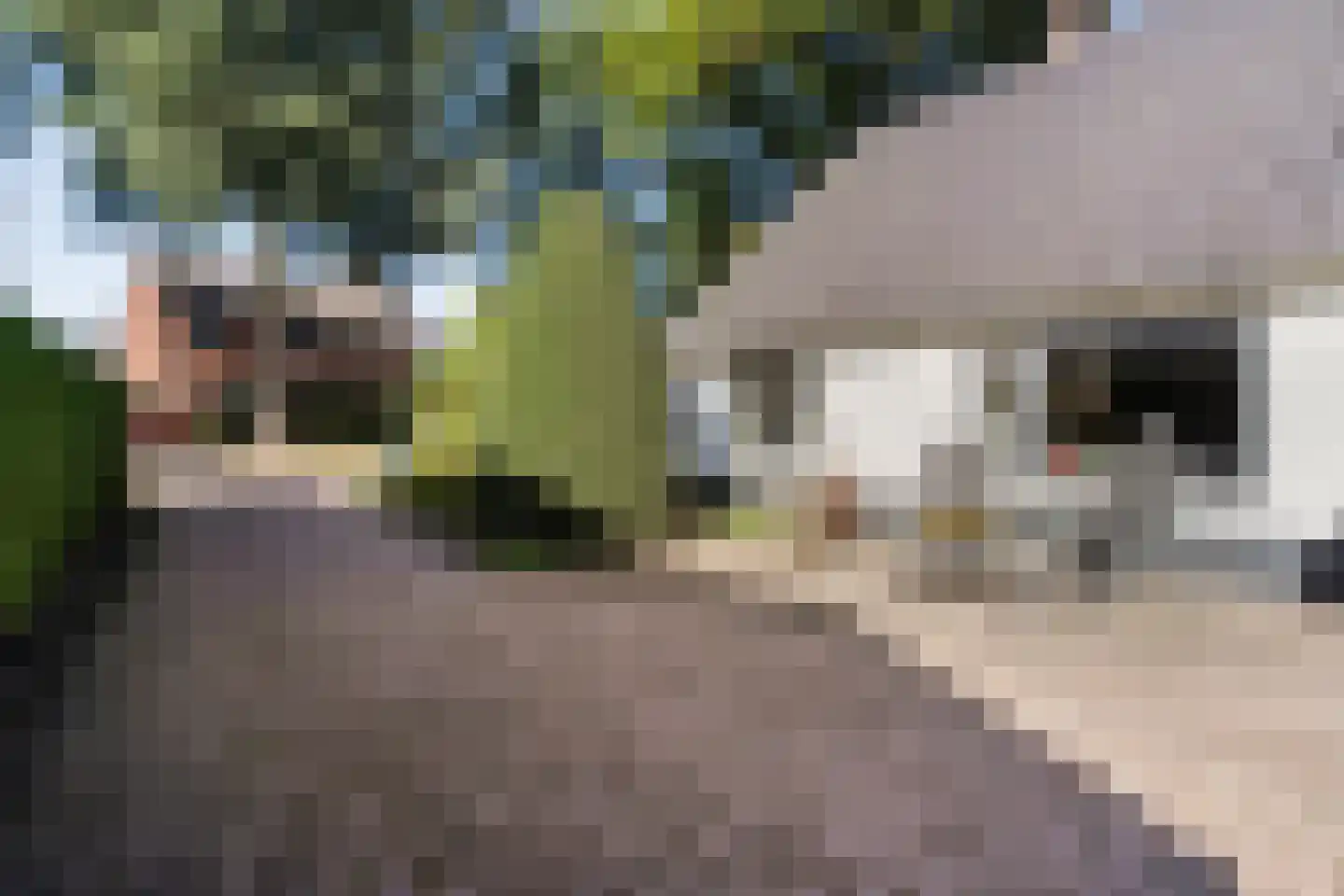 Steenbergerwijk 32 Dedemsvaart thumbnail 44