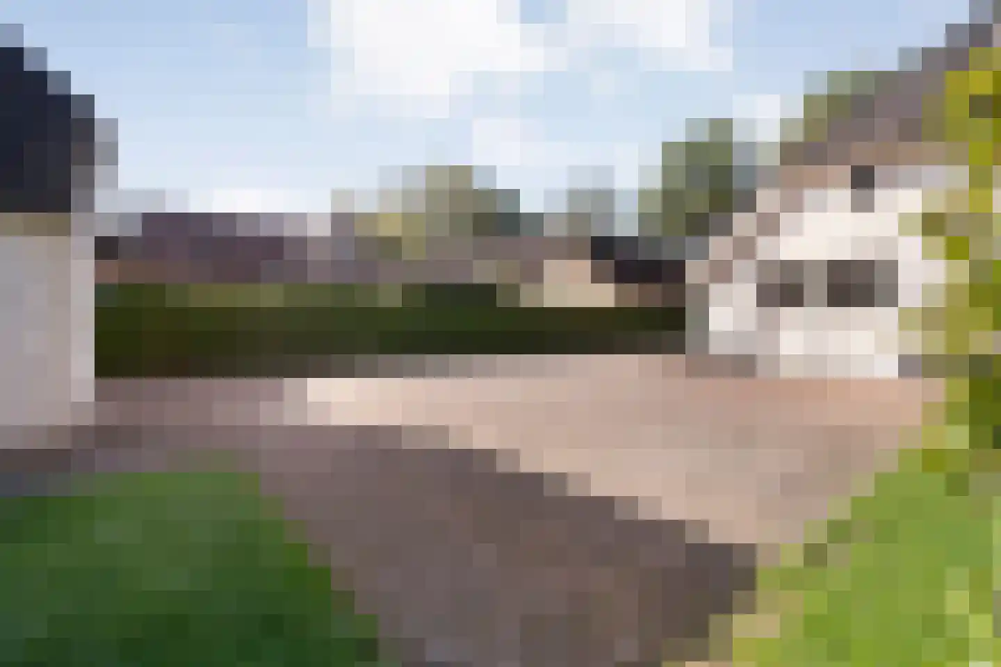 Steenbergerwijk 32 Dedemsvaart thumbnail 48