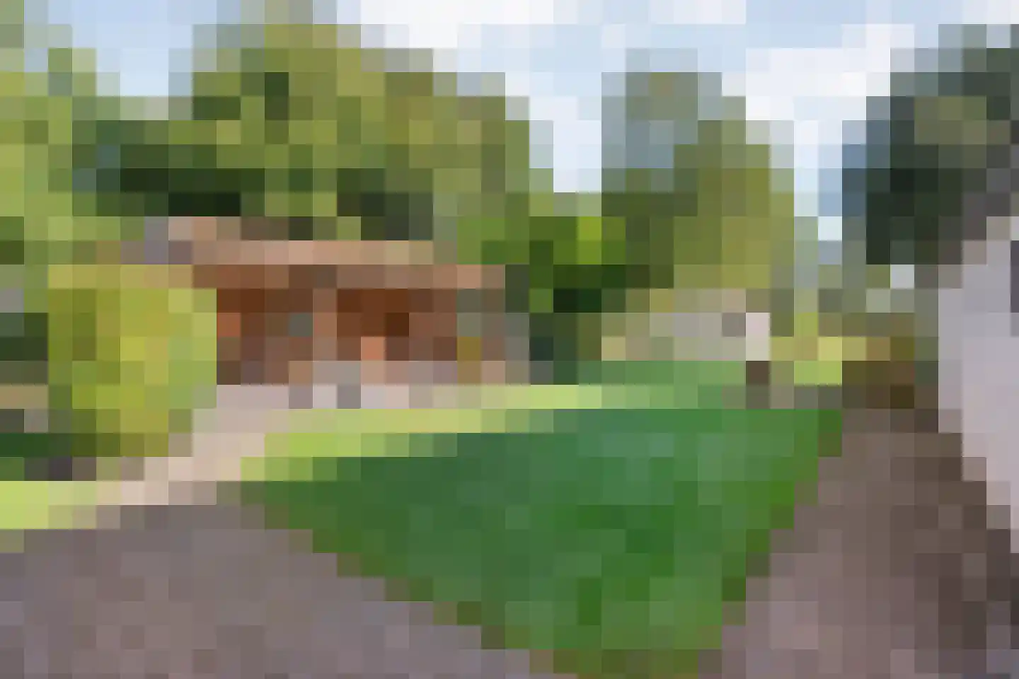 Steenbergerwijk 32 Dedemsvaart thumbnail 49