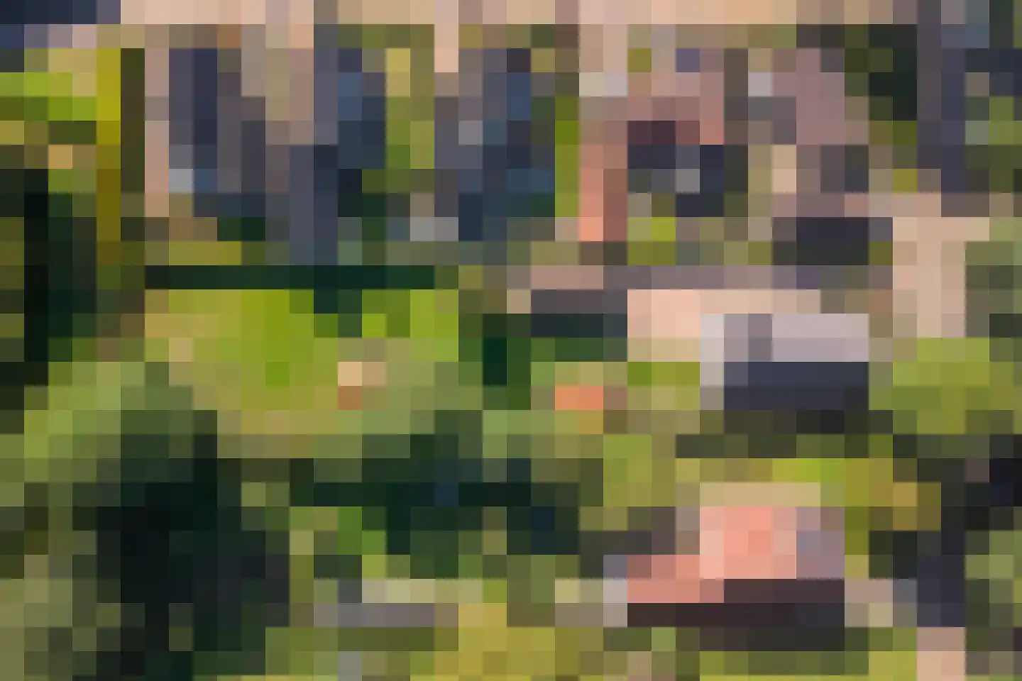 Steenbergerwijk 32 Dedemsvaart thumbnail 5