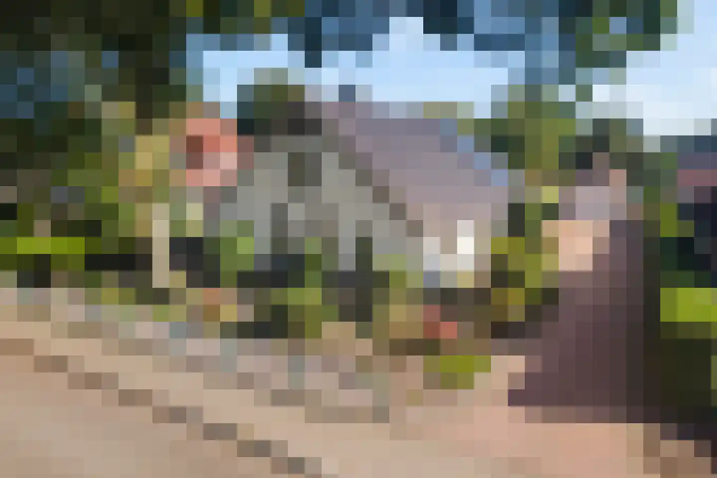 Steenbergerwijk 32 Dedemsvaart thumbnail 55