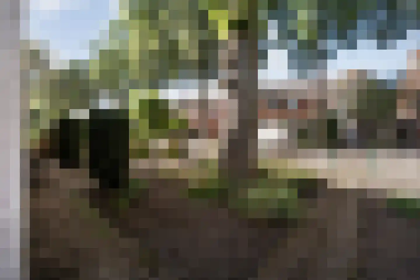 Steenbergerwijk 32 Dedemsvaart thumbnail 57