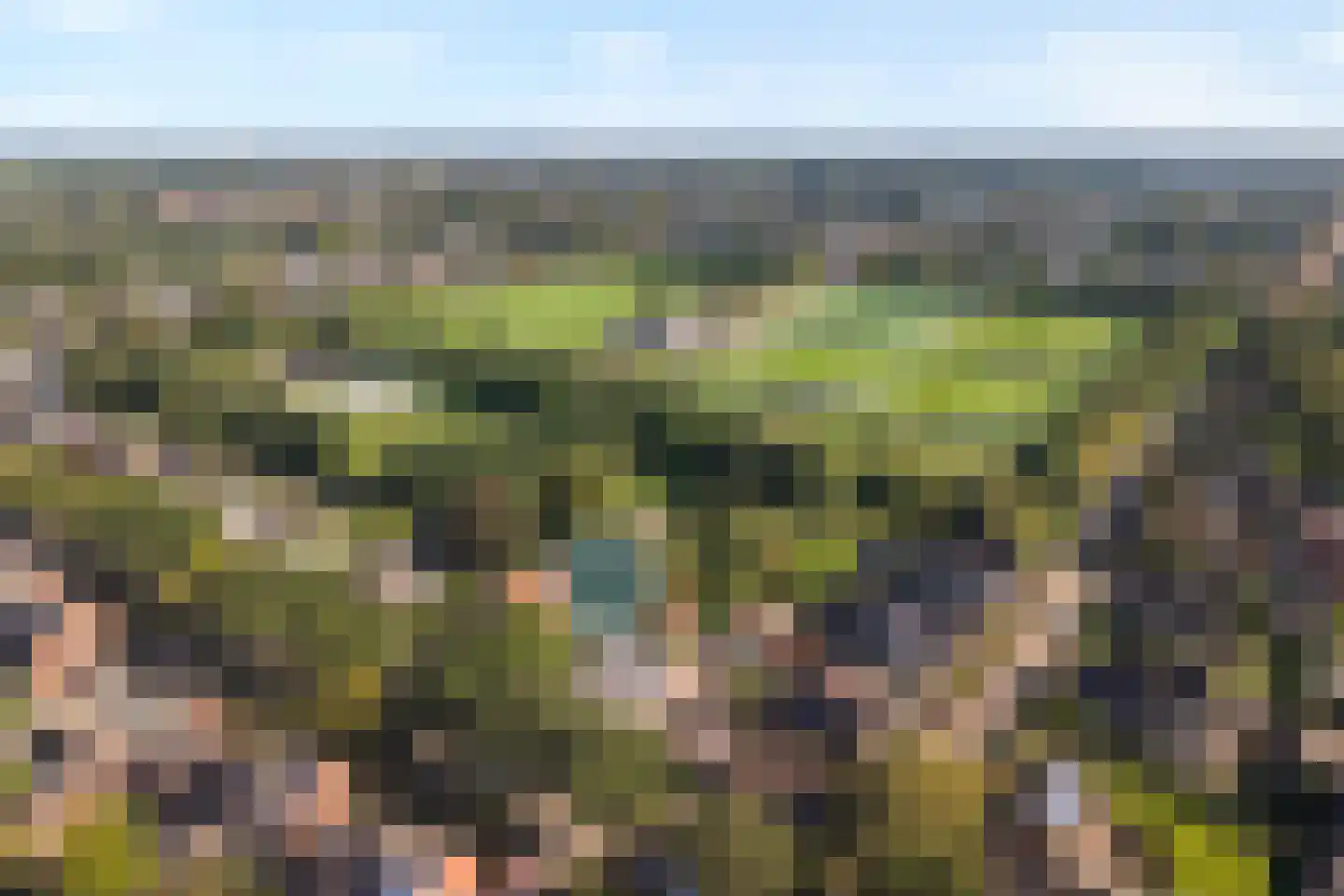 Steenbergerwijk 32 Dedemsvaart thumbnail 6