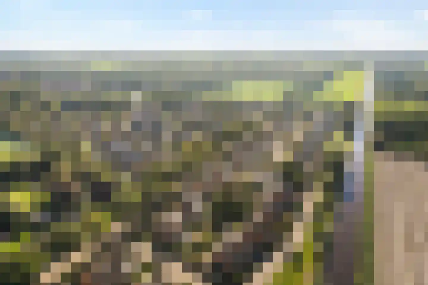 Steenbergerwijk 32 Dedemsvaart thumbnail 60