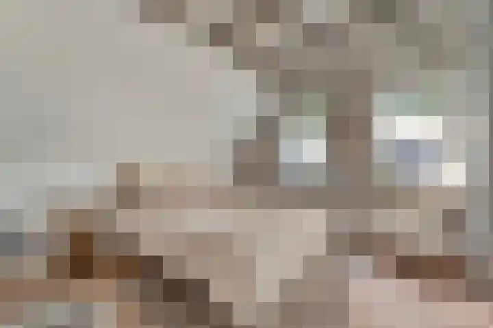 Steenbergerwijk 40 Dedemsvaart thumbnail 38