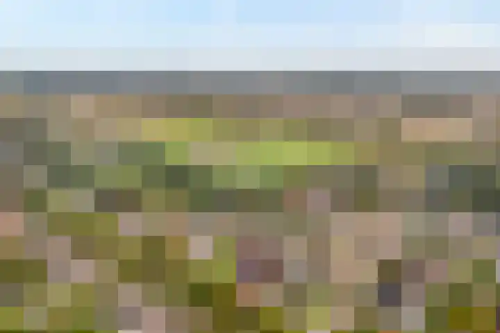 Steenbergerwijk 40 Dedemsvaart thumbnail 4
