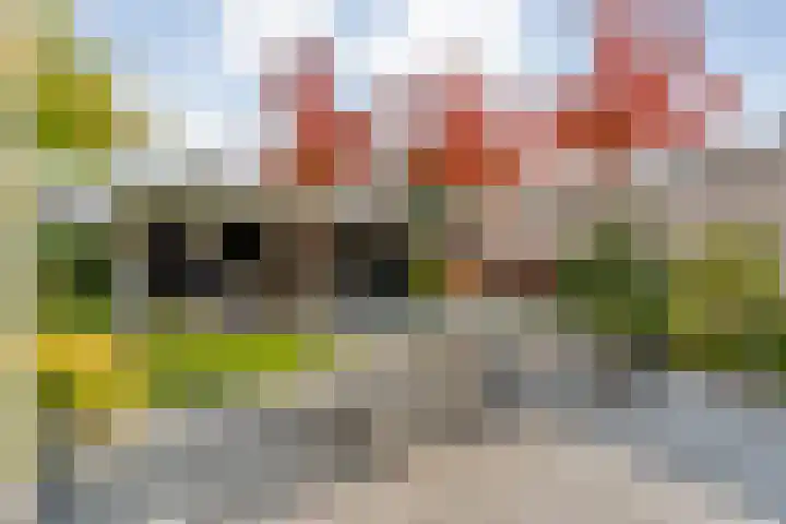 Steenbergerwijk 40 Dedemsvaart thumbnail 43