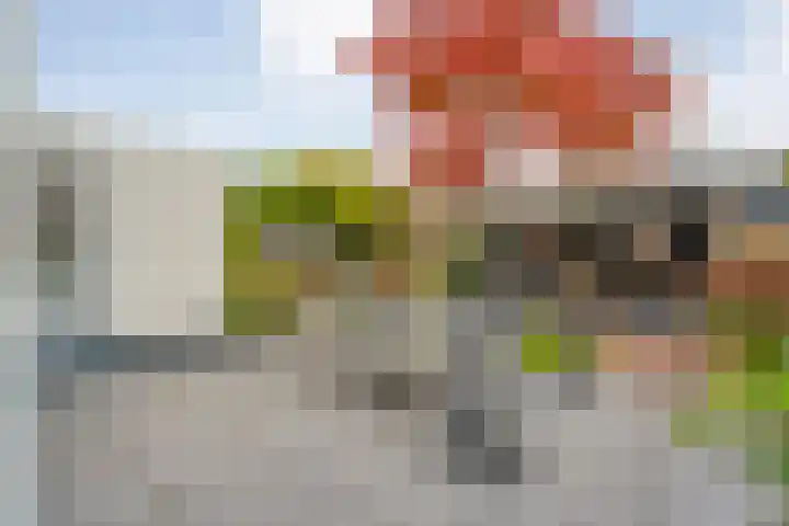 Steenbergerwijk 40 Dedemsvaart thumbnail 46