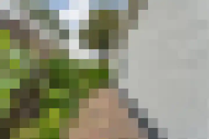 Steenbergerwijk 40 Dedemsvaart thumbnail 48