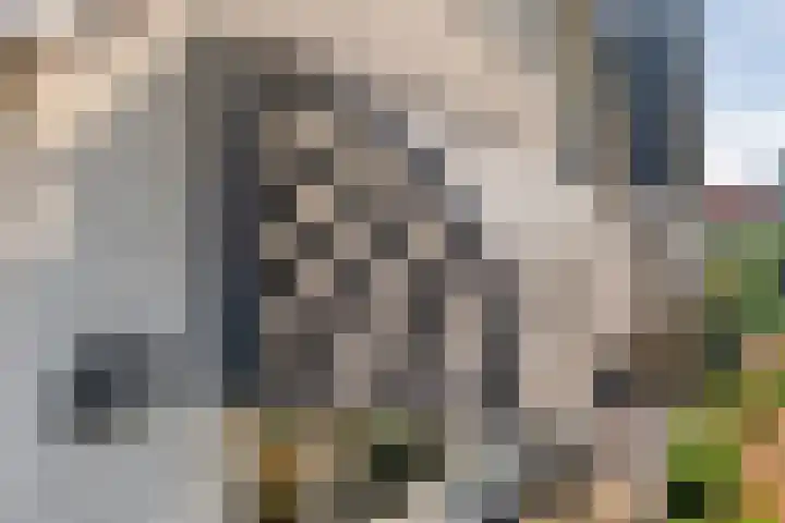 Steenbergerwijk 40 Dedemsvaart thumbnail 5