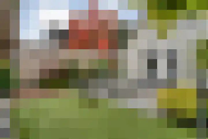 Steenbergerwijk 40 Dedemsvaart thumbnail 54