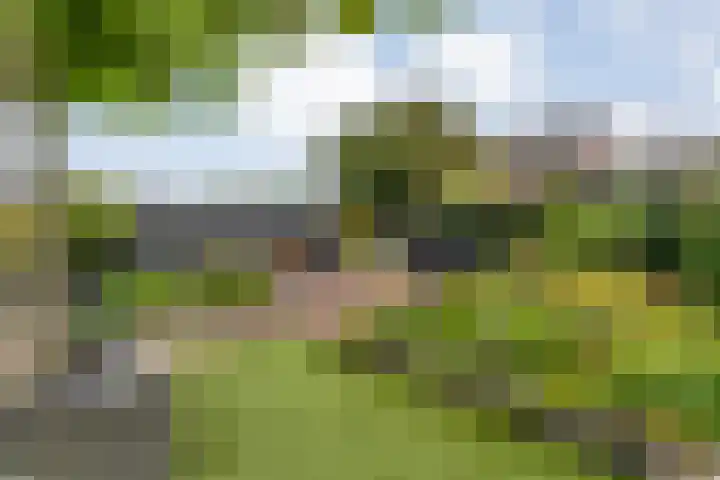 Steenbergerwijk 40 Dedemsvaart thumbnail 55