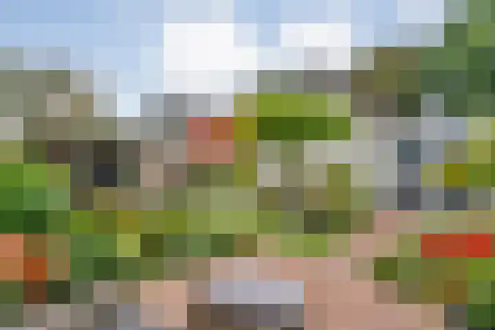 Steenbergerwijk 40 Dedemsvaart thumbnail 57
