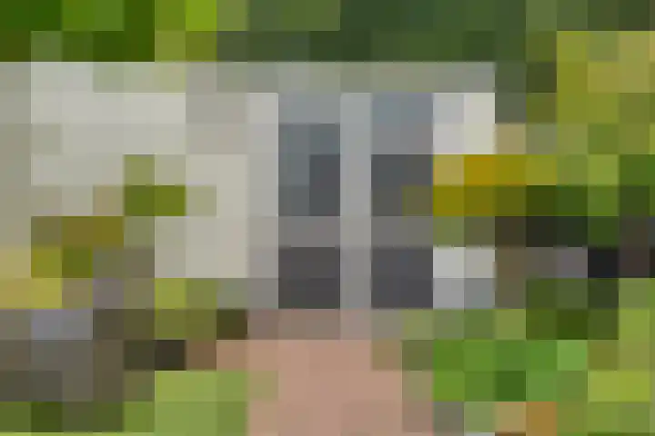 Steenbergerwijk 40 Dedemsvaart thumbnail 58