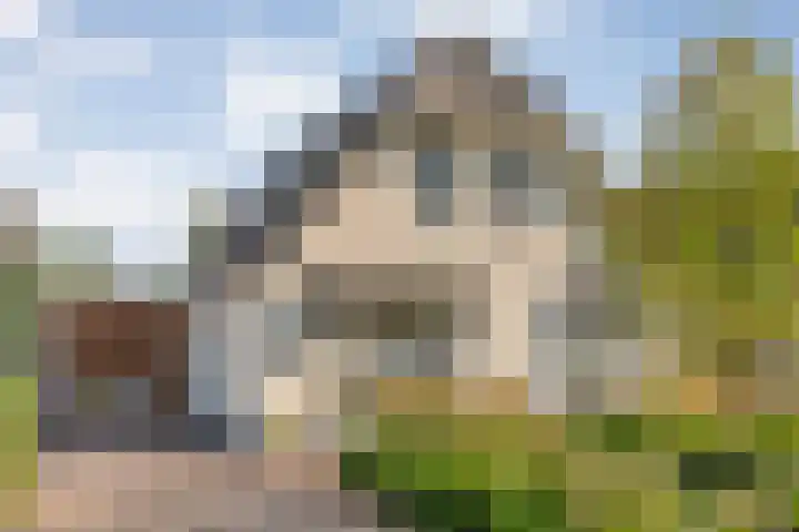 Steenbergerwijk 40 Dedemsvaart thumbnail 62