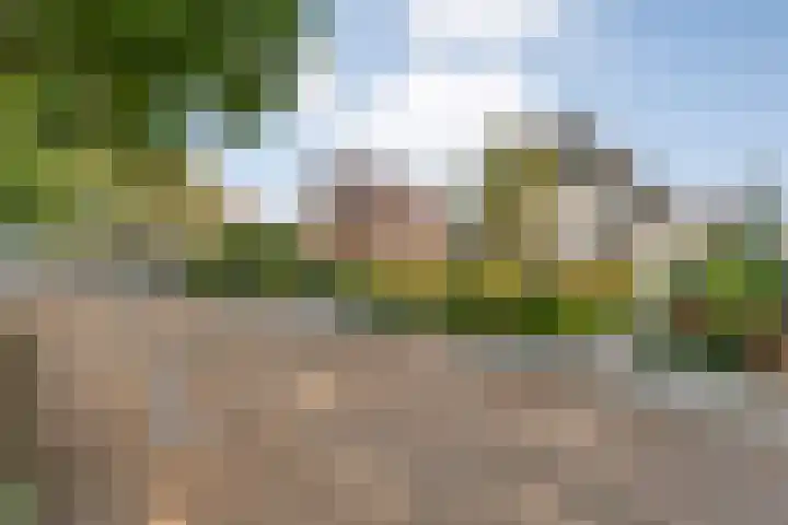 Steenbergerwijk 40 Dedemsvaart thumbnail 63