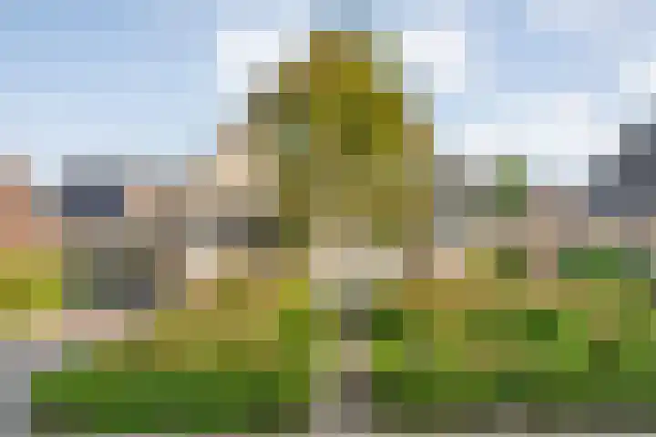Steenbergerwijk 40 Dedemsvaart thumbnail 64