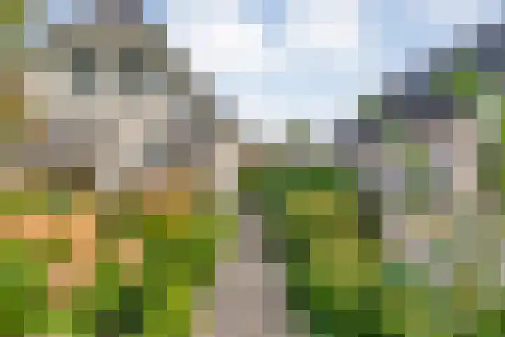 Steenbergerwijk 40 Dedemsvaart thumbnail 65