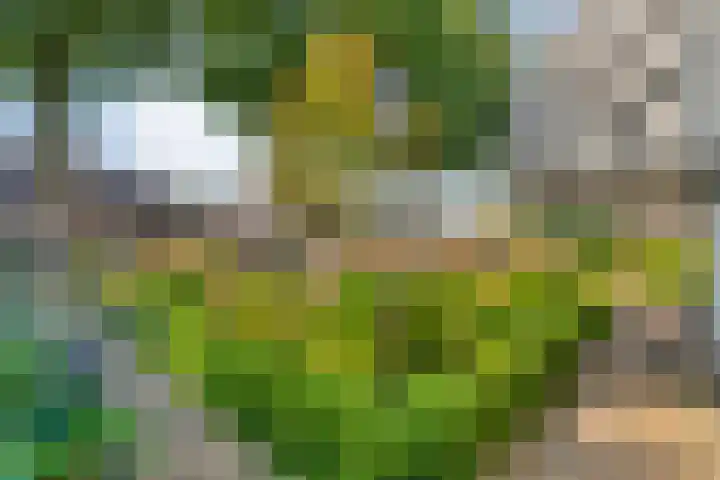 Steenbergerwijk 40 Dedemsvaart thumbnail 66