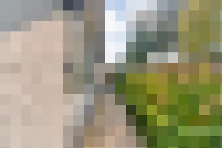 Steenbergerwijk 40 Dedemsvaart thumbnail 67