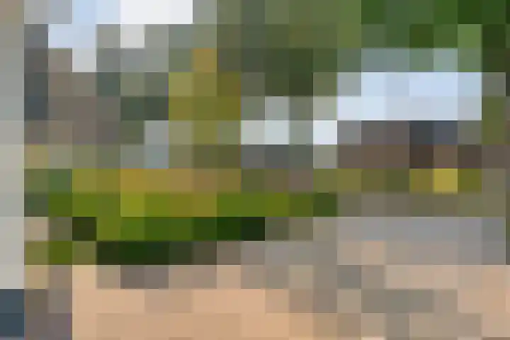 Steenbergerwijk 40 Dedemsvaart thumbnail 68