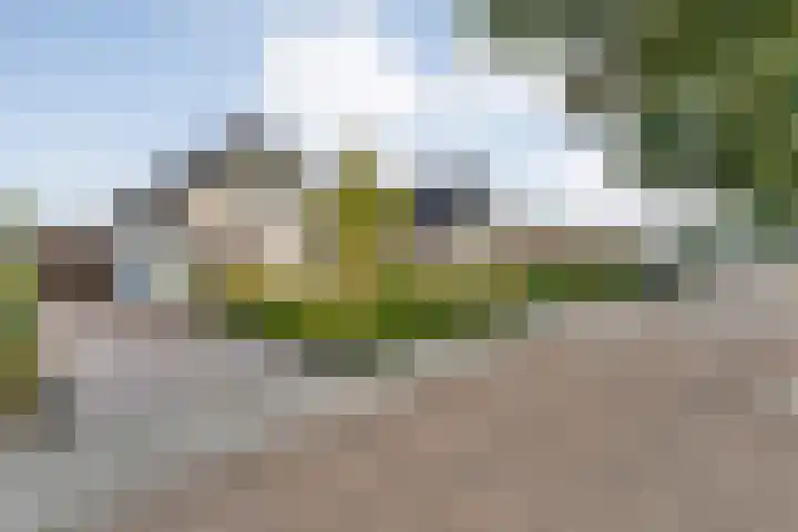 Steenbergerwijk 40 Dedemsvaart thumbnail 70