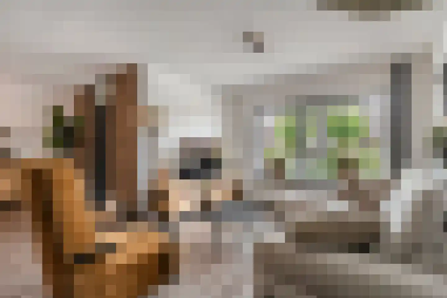 Steenbergerwijk 49 Dedemsvaart thumbnail 10