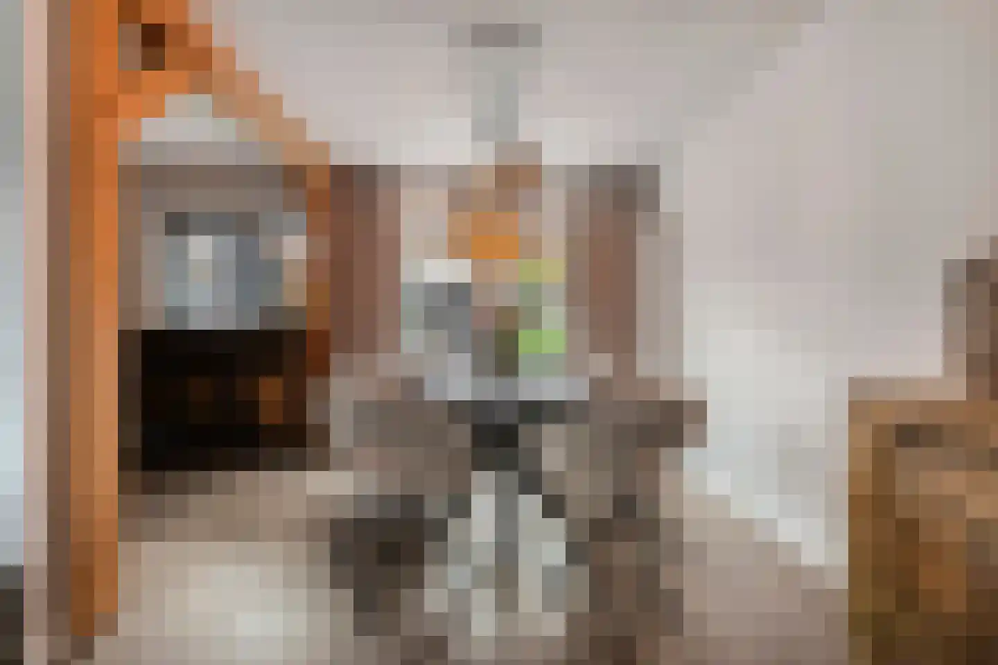 Steenbergerwijk 49 Dedemsvaart thumbnail 13
