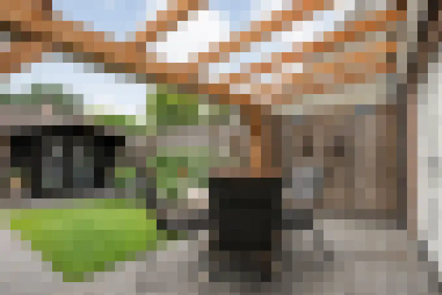 Steenbergerwijk 49 Dedemsvaart thumbnail 43