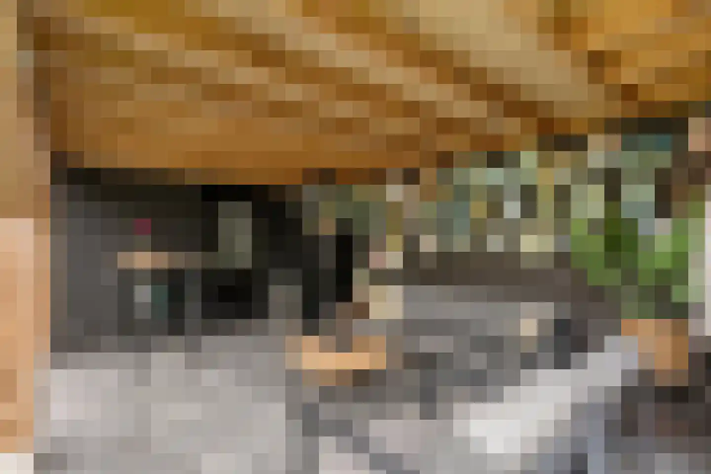 Steenbergerwijk 49 Dedemsvaart thumbnail 47